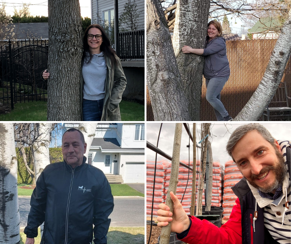 Le conseil municipal de Verchères bonifie son programme de plantation d’arbres