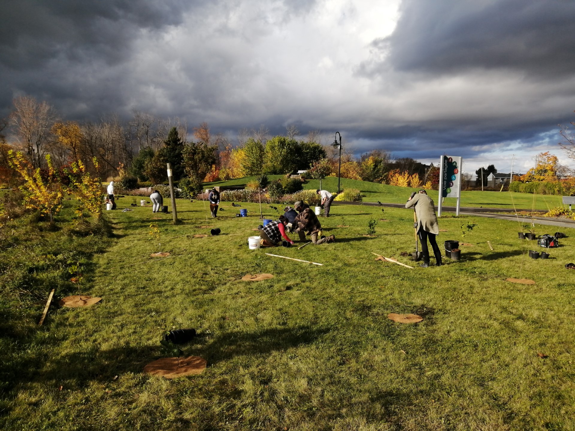 Plus de 700 arbres et arbustes pour reverdir Varennes