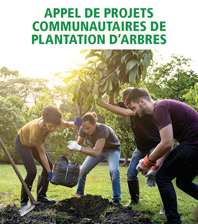Des groupes de bénévoles planteront 320 arbres dans Collectivité nouvelle