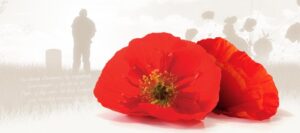 Campagne du coquelicot, jour du Souvenir: la 11e heure, le 11e jour, le 11e mois « Nous nous souviendrons! »