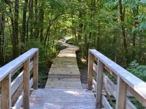 Boucherville exproprie 27 hectares pour agrandir sa zone de conservation