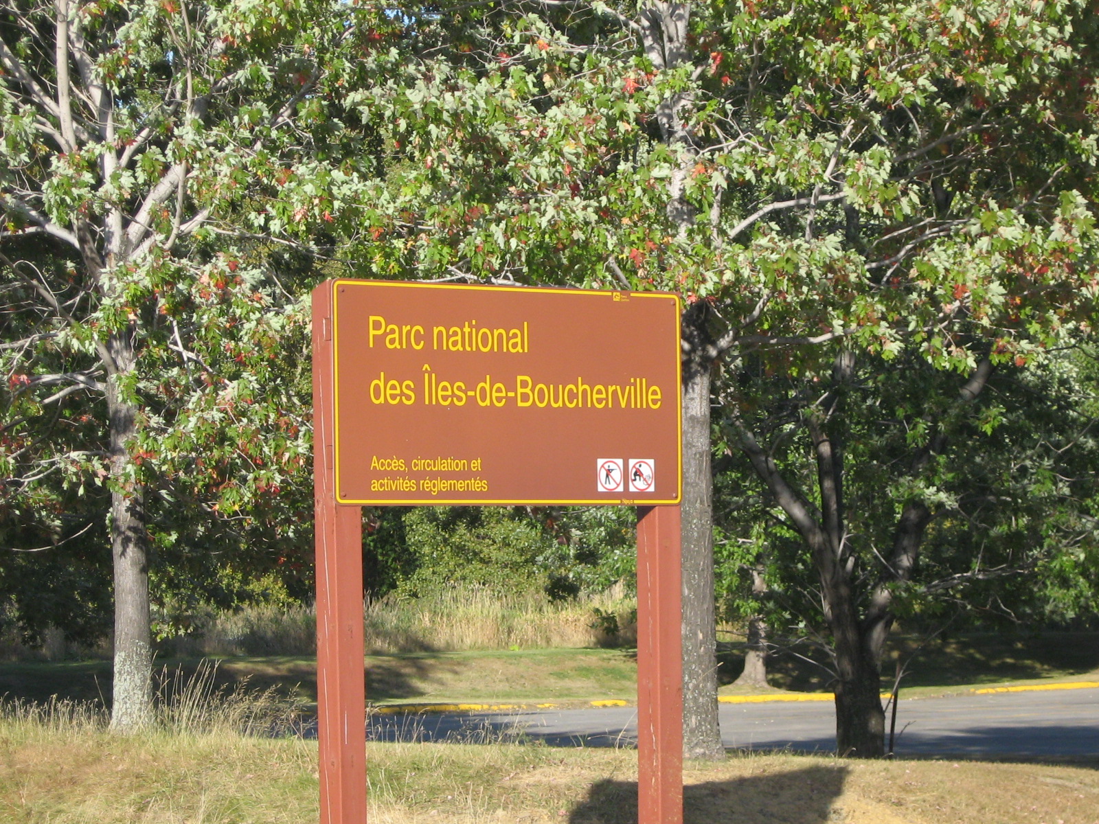 Des autobus pour aller au parc des Îles-de-Boucherville ou à celui du Mont-Saint-Bruno