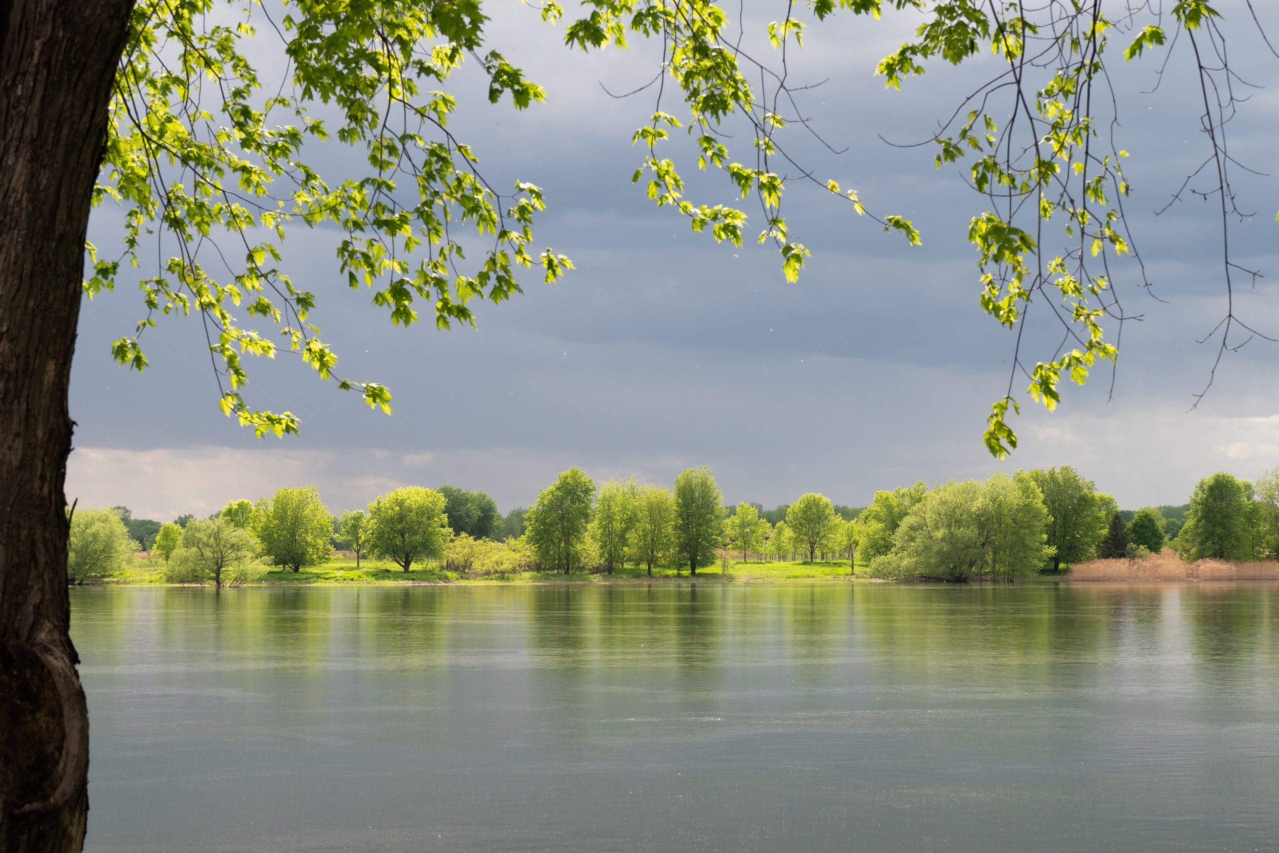 Les Bouchervillois peuvent  visiter les parcs de la SEPAQ à rabais