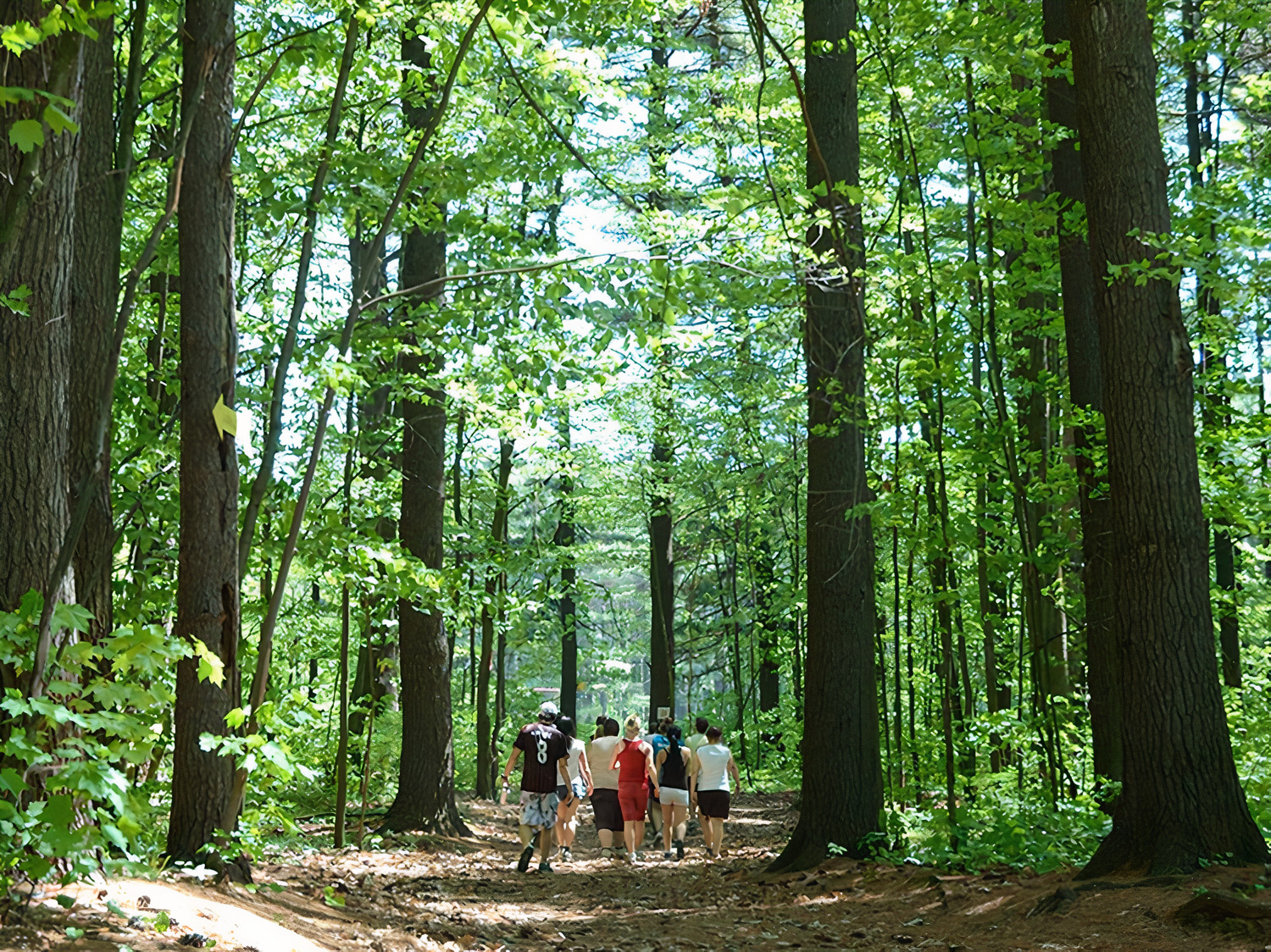 Projet domiciliaire et sauvegarde de la Colonie des Grèves: Contrecœur met les pendules à l’heure