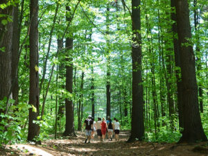 Un bras de fer à prévoir entre Contrecœur et Rio Tinto?