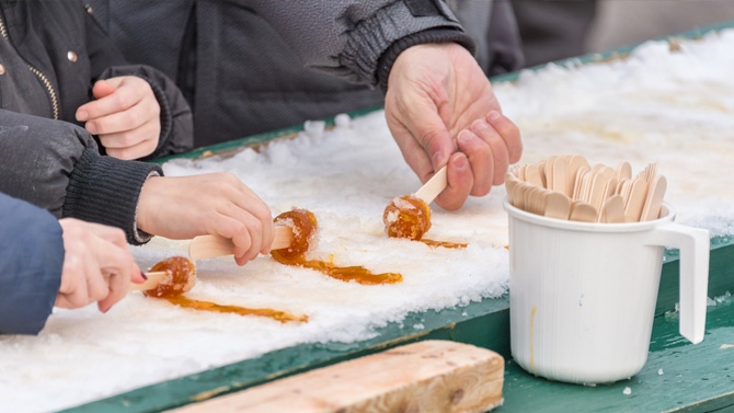 Une nouvelle saison acéricole en Montéégie !