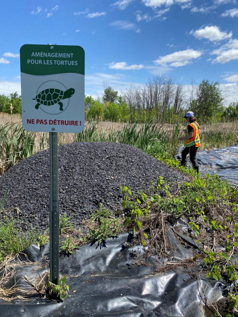 Des drones pour observer les tortues à Boucherville