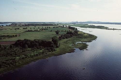 Conférence sur la renaturalisation des terres agricoles au parc national des Îles-de-Boucherville