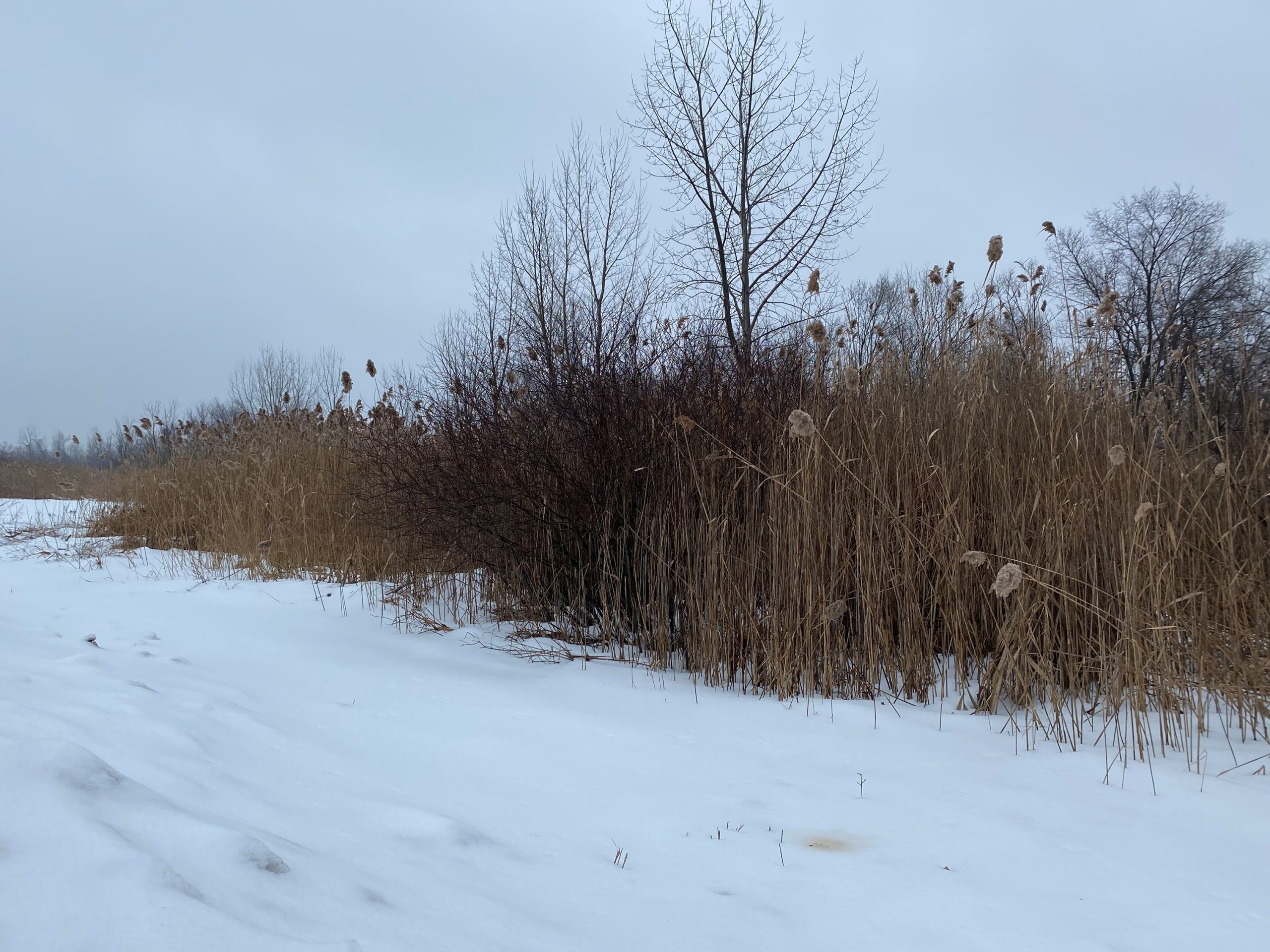 Boucherville: le développement du secteur Le Terroir en suspens