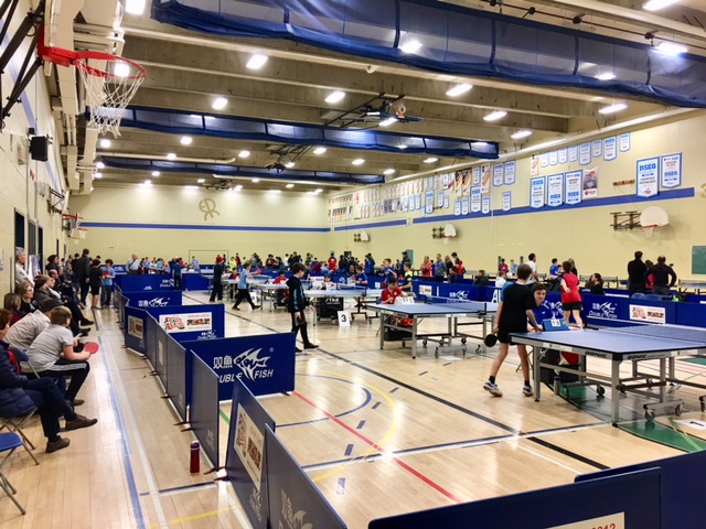 Boucherville accueillera l’élite du tennis de table pour l’Open 2025