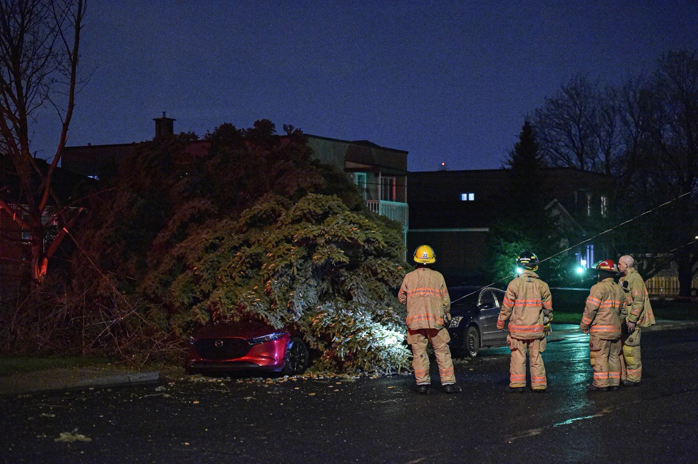 Un arbre tombe sur un véhicule : plusieurs incidents du genre en soirée le 29 avril