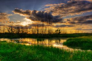 Île Saint-Bernard : gastronomie, nature et bien-être au rendez-vous