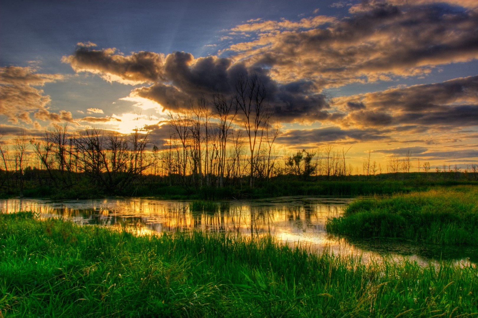 Île Saint-Bernard : gastronomie, nature et bien-être au rendez-vous