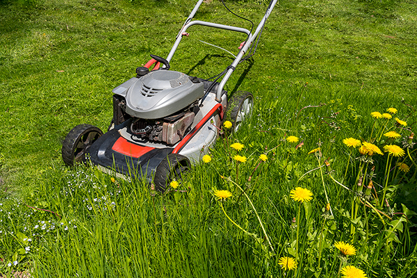 Le gazon dans le bac brun finit par… coûter cher!