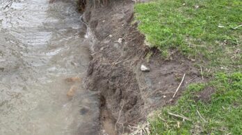 Une pétition pour contrer l’érosion des berges