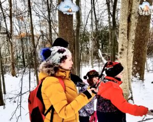 Une catastrophe cosmique se prépare à Boucherville