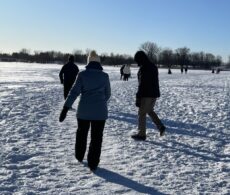 Traversée sur la glace : la Sépaq retire les sapins du fleuve