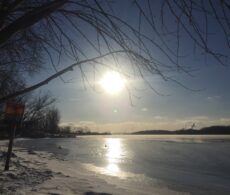 Participation citoyenne à Boucherville: un comité sur l’action climatique est créé