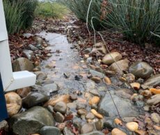 Résilience climatique: Boucherville obtient une aide