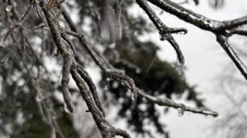 Verglas: des pannes touchent près de 8000 clients à Longueuil et Brossard