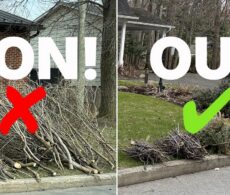 Collecte des branches à Sainte-Julie: des nouveaux critères qui divisent