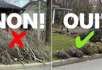 Collecte des branches à Sainte-Julie: des nouveaux critères qui divisent