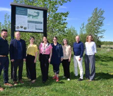 Boucherville : le secteur du parc de la Futaie protégé à perpétuité