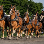 Un événement familial qui a 146 ans d’histoire