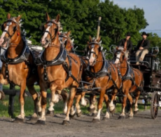 Un événement familial qui a 146 ans d’histoire