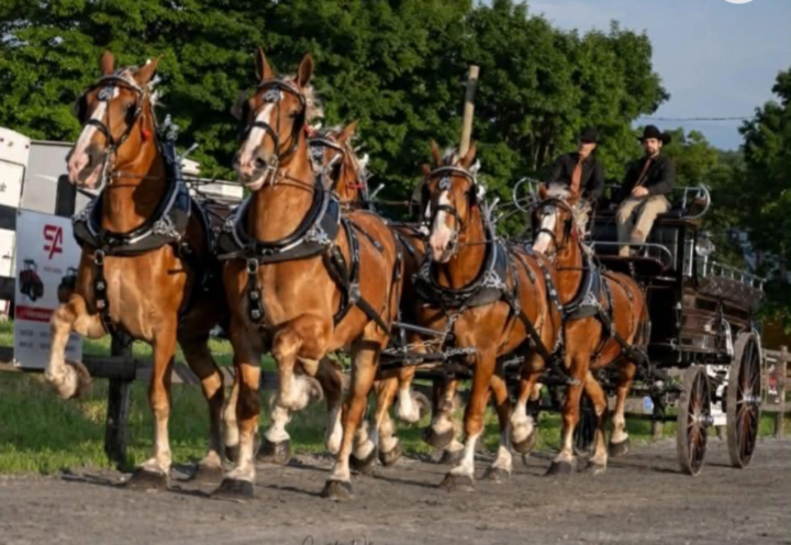 Un événement familial qui a 146 ans d’histoire