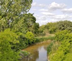 Parc Saint-Charles: les indépendants demandent une consultation publique