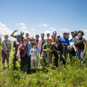 Un nombre record d’arbres plantés sur l’île Sainte-Thérèse à Varennes
