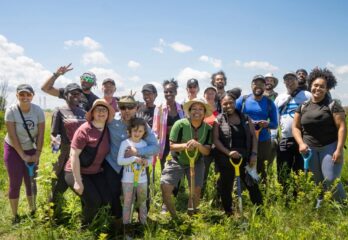 Un nombre record d’arbres plantés sur l’île Sainte-Thérèse à Varennes
