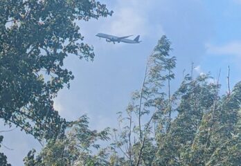 Bruit des avions à Sainte-Julie: deux solutions sont à l’étude