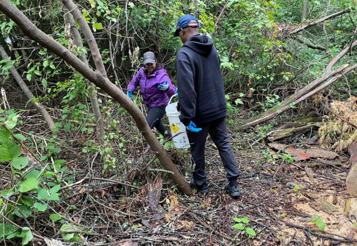 Des plongeurs pour nettoyer les berges du Saint-Laurent à Boucherville