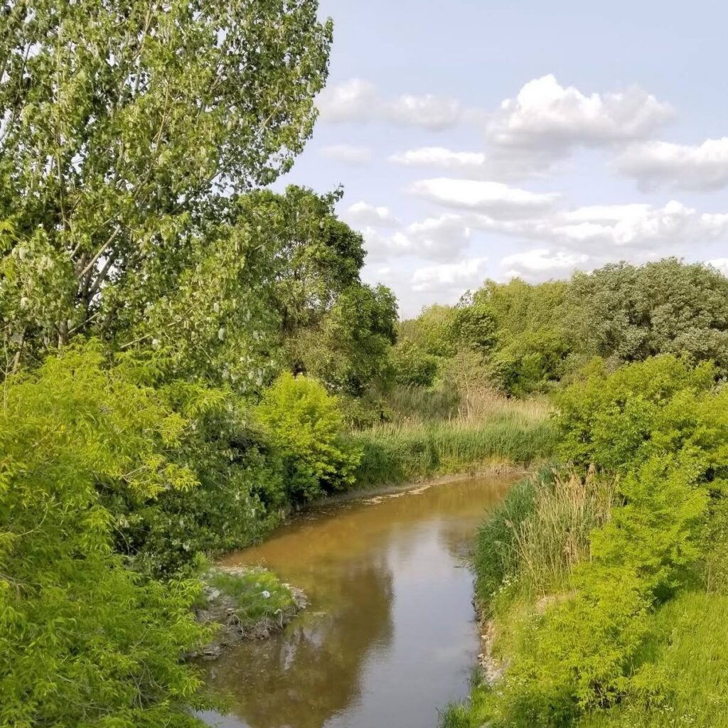 parc-Saint-Charles