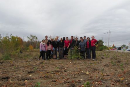 Bénévoles recherchés pour l’entretien d’une belle plantation au boisé Du Tremblay