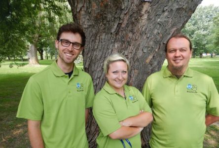 La patrouille verte au service des propriétaires de frênes à Boucherville