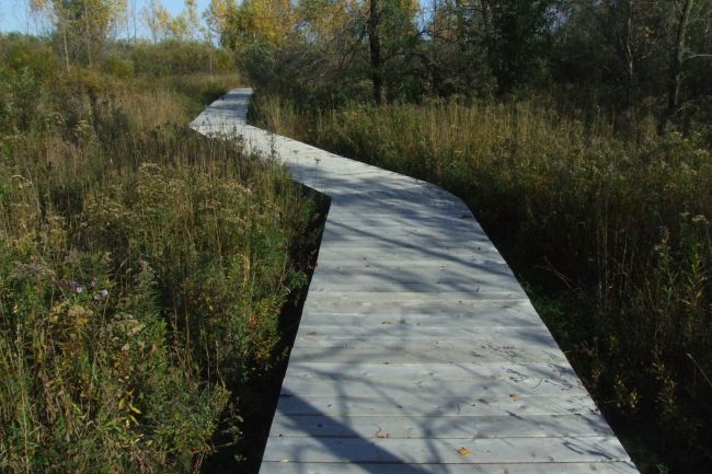 Inauguration d’un nouveau sentier au boisé Du Tremblay à Boucherville