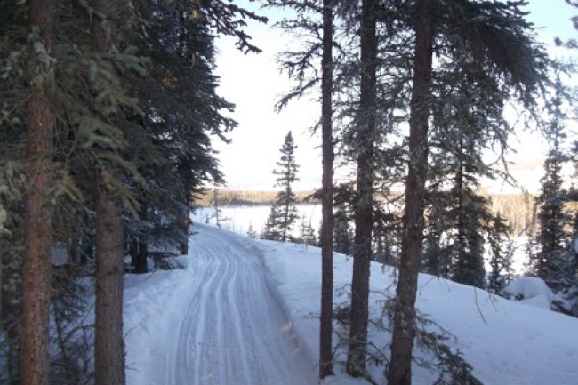 Troisième participation de Réjean Moreau au Défi Yukon Arctic Ultra