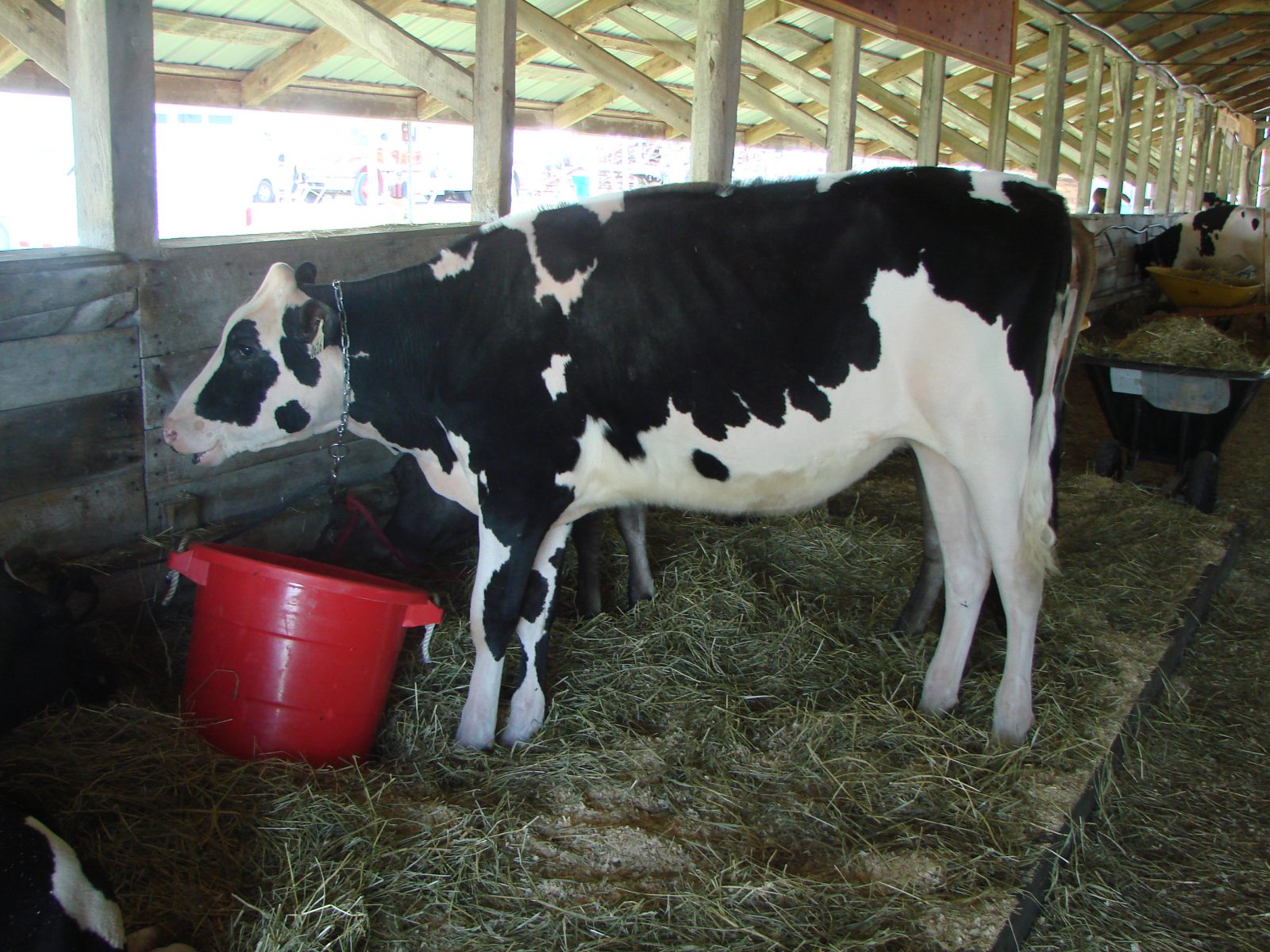 Une 138e expo agricole couronnée de succès à Calixa-Lavallée