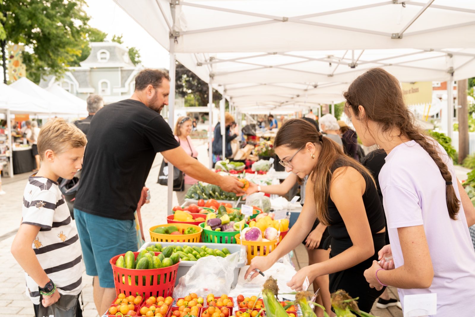 Le petit marché de Sainte-Julie est de retour tous les jeudis dès le 29 juin