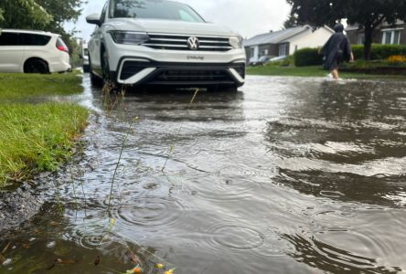 Pluie abondante : 666 appels chez les pompiers