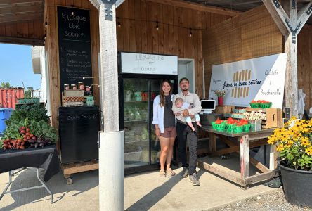 Kiosque libre-service : cultiver des légumes bio et la confiance