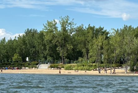 Plage de l’île Charron : Baignade interdite, mais présence tolérée