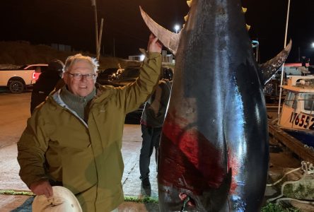 Il pêche enfin un poisson plus gros que lui !