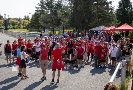 Plus de 100 participants pour la Marche myélome multiple Sainte-Julie