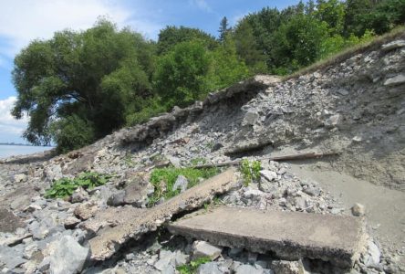 Érosion: de l’espoir pour le Comité pour la protection des berges