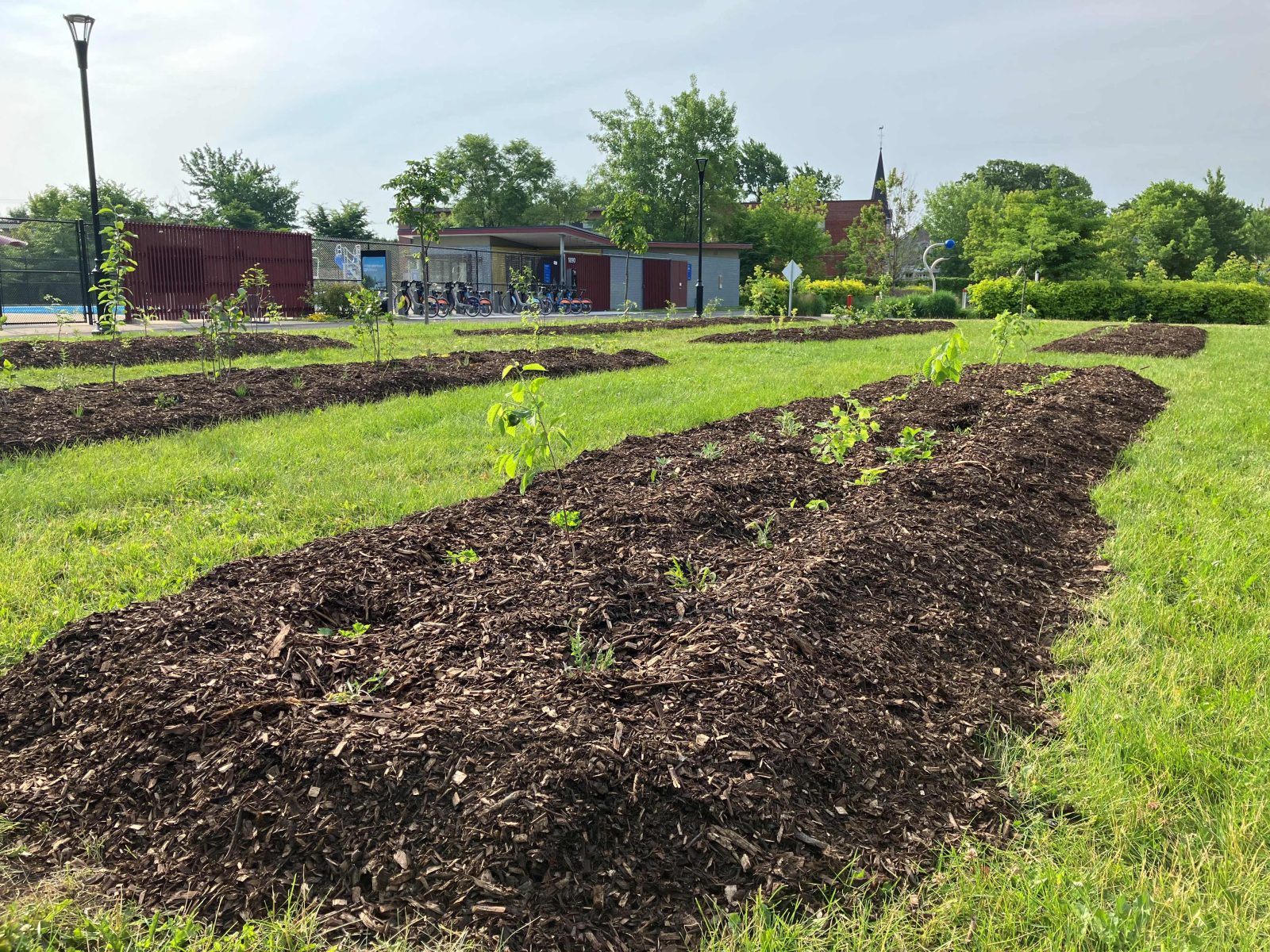 Longueuil: quatre parcs plus verts