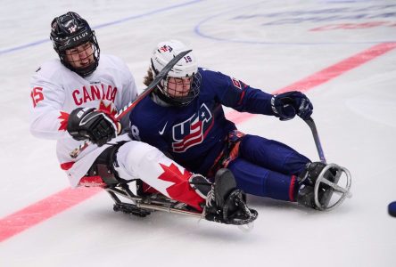 Un hockeyeur bouchervillois en Tchéquie